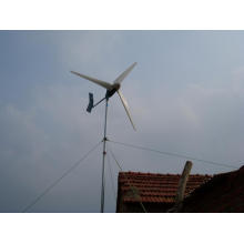100W 12V / 24V Windgenerator Wind Turbine Generator Solar Street Light